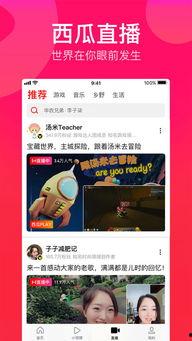 娱乐吃瓜文案视频下载